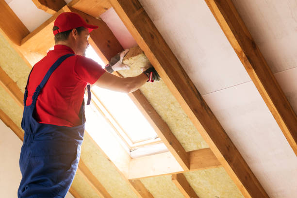 Best Attic Insulation Installation  in Barrackville, WV